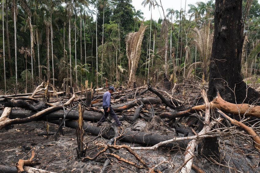 Una patrulla indígena descubre áreas recientemente quemadas en el territorio indígena Uru Eu Wau Wau, estado de Rondônia, Brasil, en septiembre de 2019