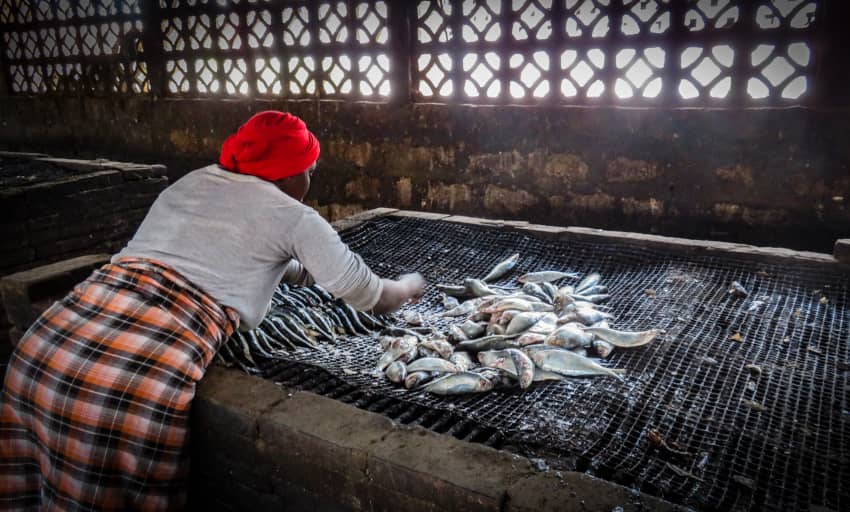 Una mujer ahuma pescado para sacar dinero y poder mantener a su familia. La sobrepesca en Gambia está esquilmando los recursos