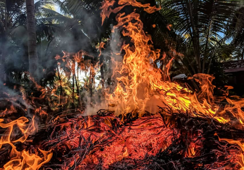 Imagen de un incendio forestal