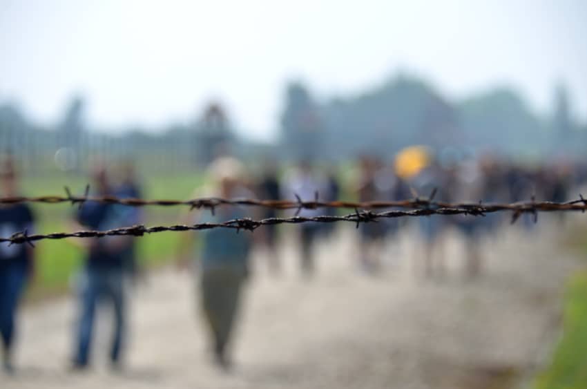 Alambre de espinos que recuerda a los campos de concentración nazis donde aplicaban la "Solución final" decidida en la Conferencia de Wannsee