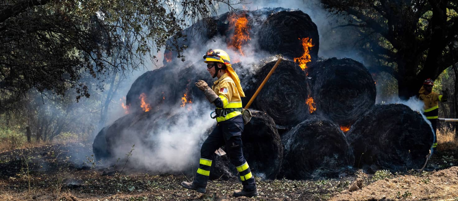 Bombero forestal